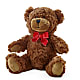 Adorable Plush Bear –  Royal Flowers 4u, Tucson AZ
