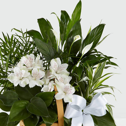 Peace & Serenity Dishgarden –  Royal Flowers 4u, Tucson AZ