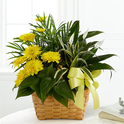 Loving Light Dishgarden –  Royal Flowers 4u, Tucson AZ