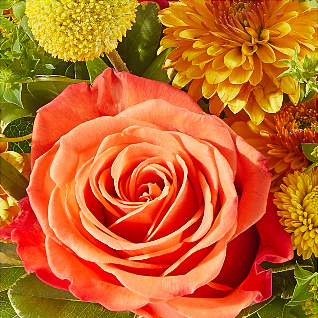Gourdgeous Pumpkin –  Royal Flowers 4u, Tucson AZ