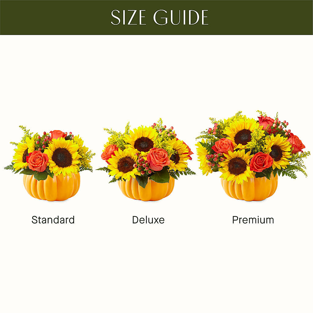 Pick of the Patch Pumpkin Bouquet –  Royal Flowers 4u, Tucson AZ