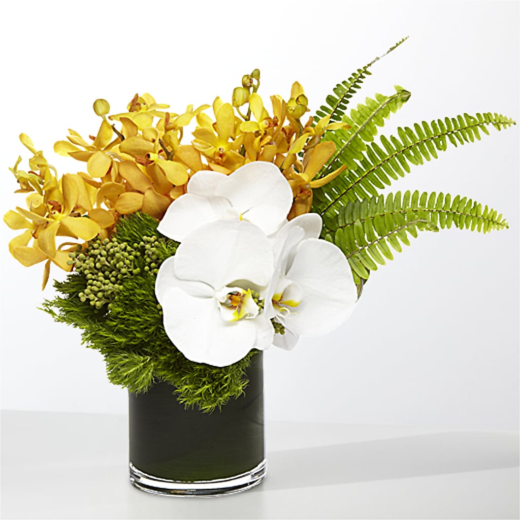 The Tropics –  Royal Flowers 4u, Tucson AZ