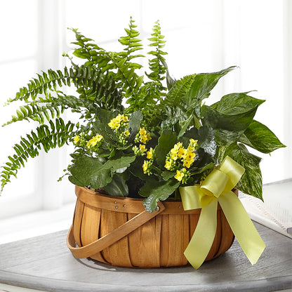 Always Dear Dishgarden –  Royal Flowers 4u, Tucson AZ
