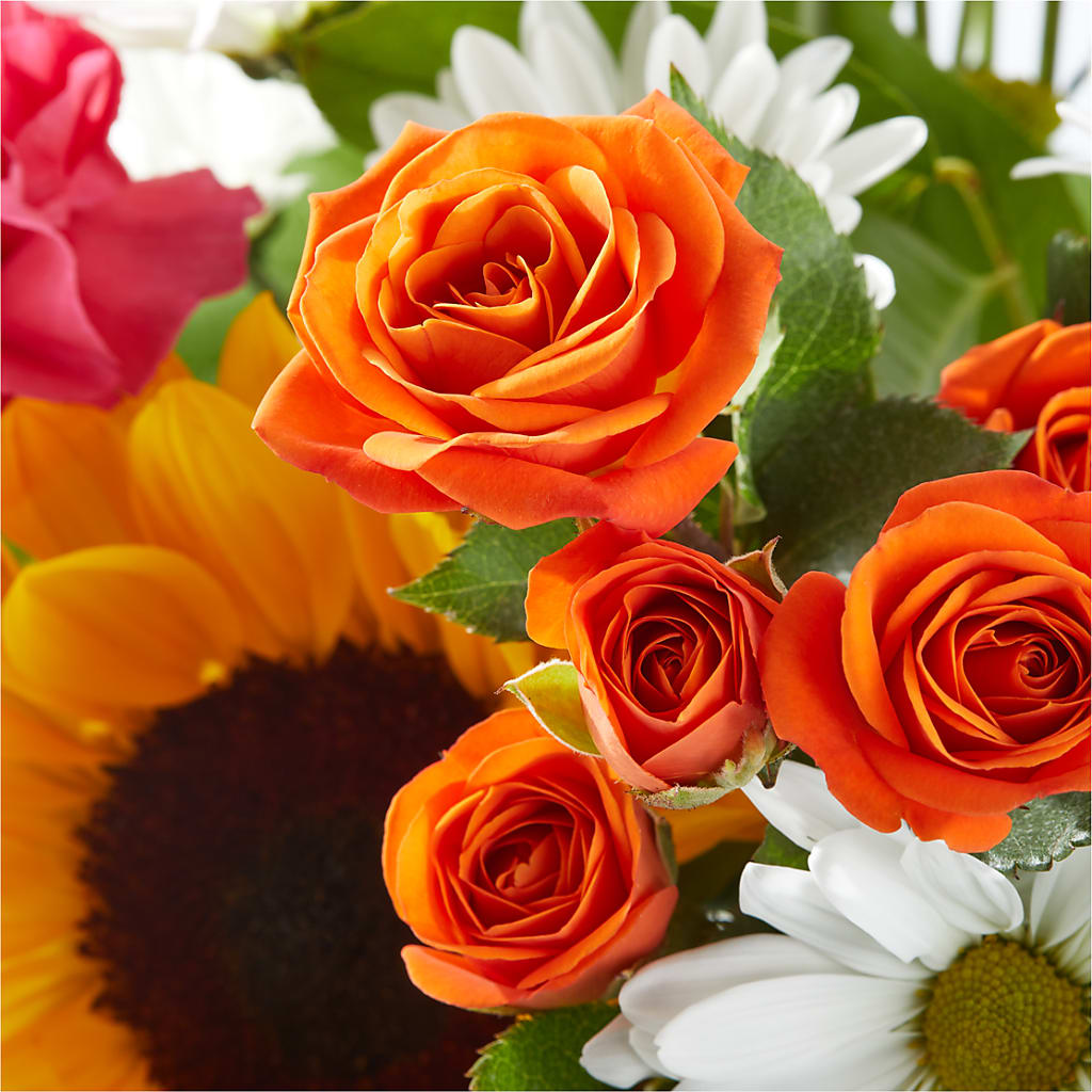 Sun-drenched Blooms Bouquet –  Royal Flowers 4u, Tucson AZ
