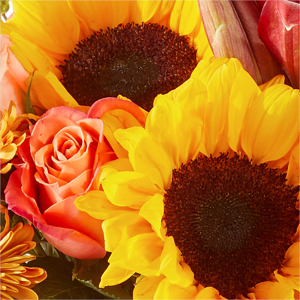 Acorn Lane Bouquet –  Royal Flowers 4u, Tucson AZ