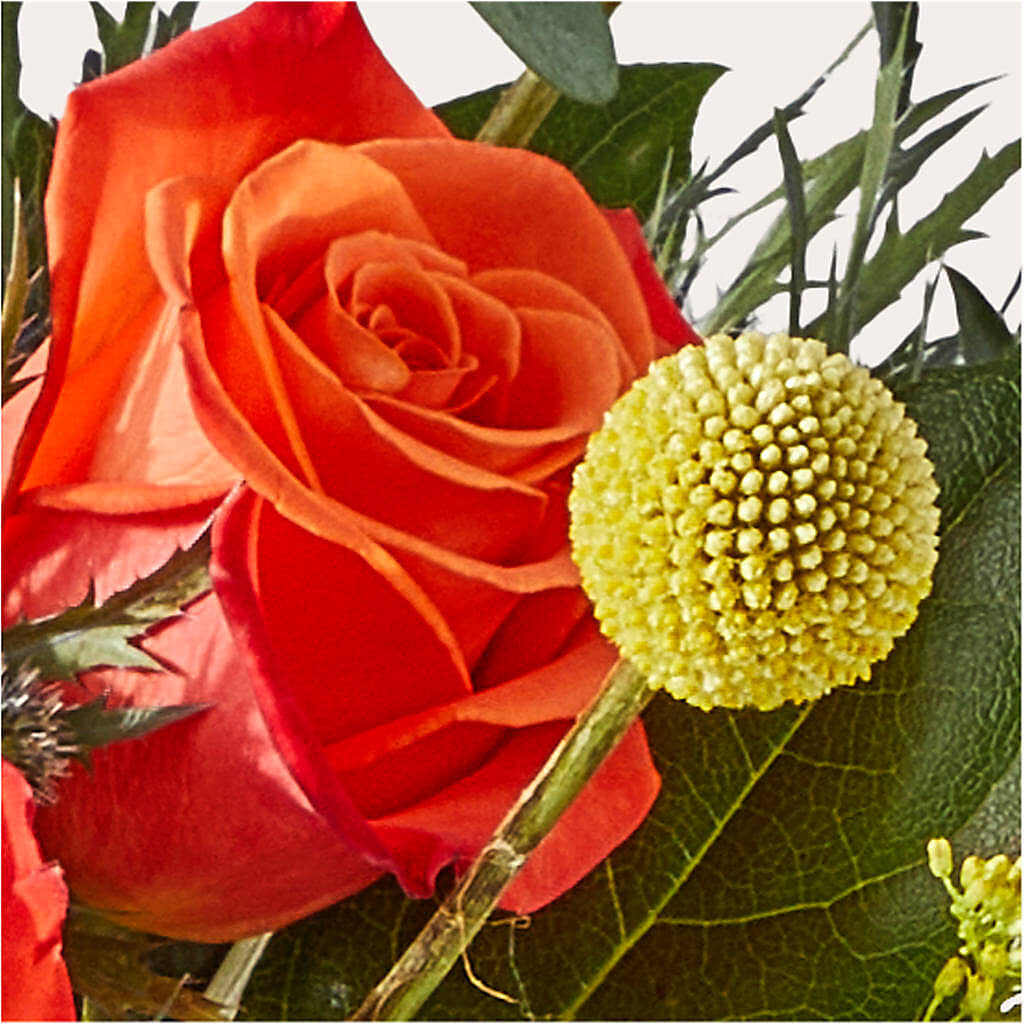 Disco Bouquet –  Royal Flowers 4u, Tucson AZ