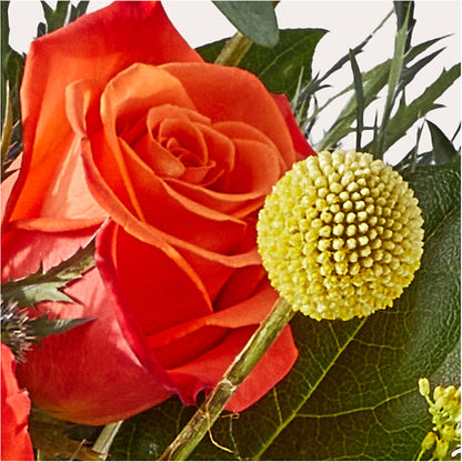 Disco Bouquet –  Royal Flowers 4u, Tucson AZ