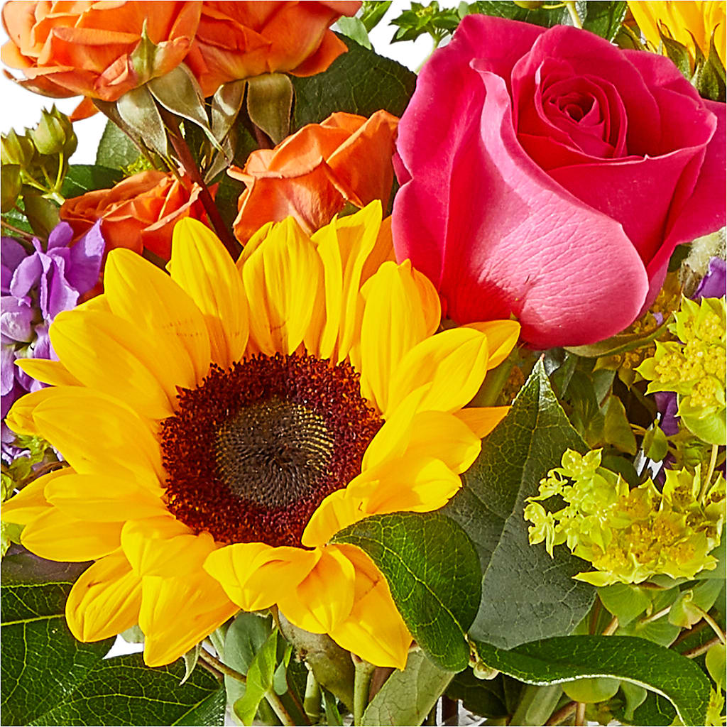 Vibrant Greetings Bouquet –  Royal Flowers 4u, Tucson AZ