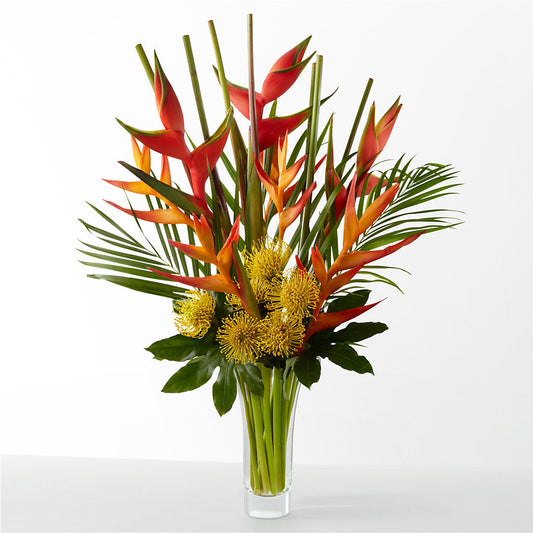 The Drama –  Royal Flowers 4u, Tucson AZ