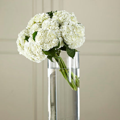 White Hydrangea Hand-Tied Bouquet –  Royal Flowers 4u, Tucson AZ